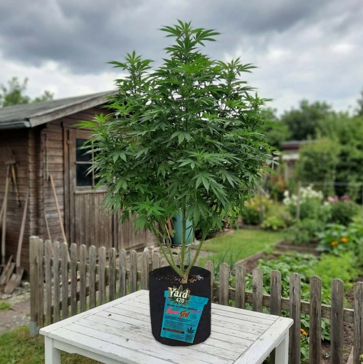 Preview: Grow Bucket Super Soil mineralic